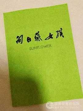 向日葵女孩