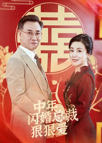 中年闪婚总裁狠狠爱